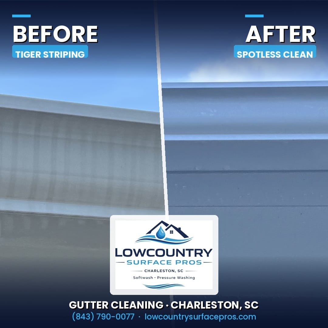 Residential House Gutter Cleaning