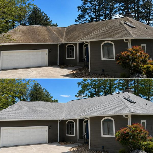 Roof Cleaning