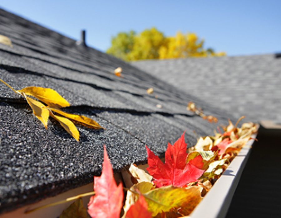 Gutter Cleaning